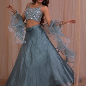 Grey Mirrorwork Tissue Lehenga